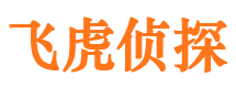 岱岳市侦探调查公司